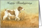 Thanksgiving Brittany Spaniel card