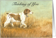 Thinking of You Brittany Spaniel card