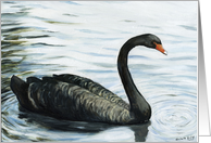 Birthday Black Swan card