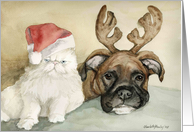 Christmas Boxer and Persian Cat card