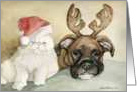 Christmas Boxer and Persian Cat card