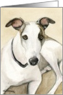 Charlotte Birthday Greyhound card