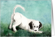 Charlotte Birthday English Setter Pup card