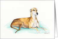 Adoption Greyhound card