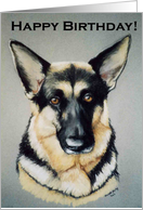 Birthday German Shepherd card