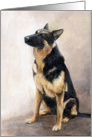 Sympathy German Shepherd card