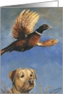 Thanksgiving Lab & pheasant card