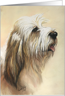 Birthday Basset Petite Griffon card