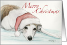 Christmas Greyhound card