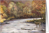 Thanksgiving Whitetail Deer card