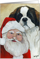 Christmas saint Bernard card