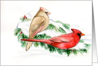 Christmas Cardinals card
