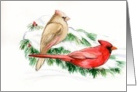 Christmas Cardinals card