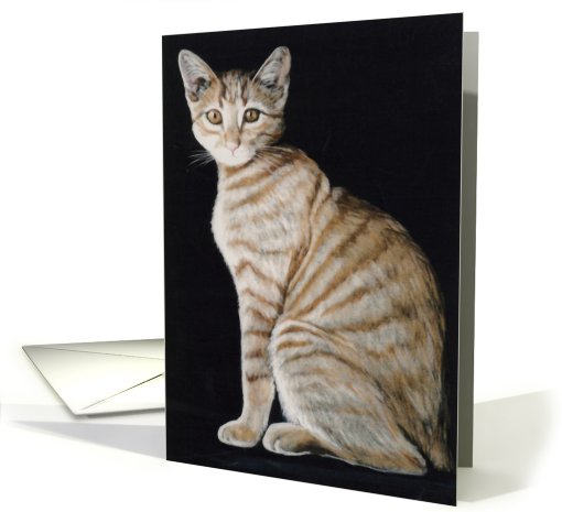 Birthday tappy cat card (514880)
