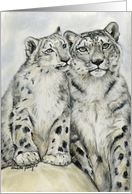 Snow Leopard Birthday card
