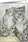 Snow Leopard Birthday card