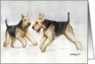Airedales Playing in Snow card