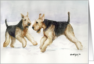 Airedale Valentine card