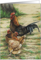 Rooster & Hens Valentine card