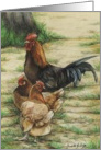 Rooster & Hens Valentine card