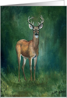 Whitetail Deer Birthday card