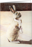 Bunny Easter card