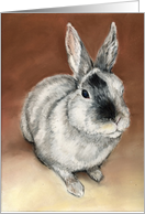 Bunny Easter card