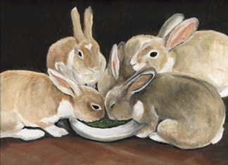 Bunnies Invitation