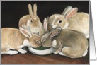 Bunnies Invitation card