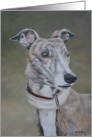 Greyhound Birthday card