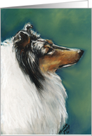 Collie Profile Birthday card