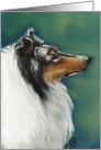 Collie Easter card