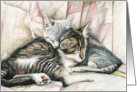 Sleeping Kittens Birthday card