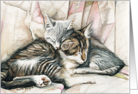Sleeping Kittens Friendship card