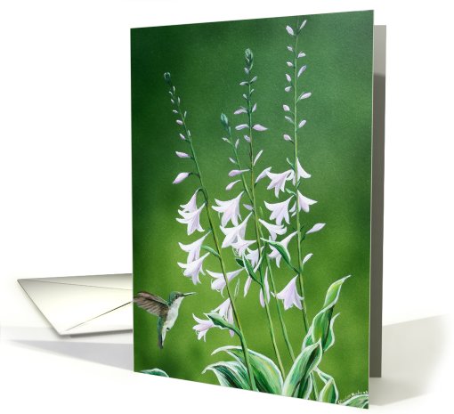 hummingbird and Hosta card (585662)