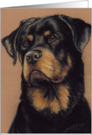 rottweiler Birthday card