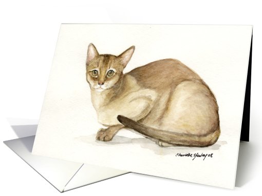 abyssinian cat Pet sitter Thank you card (598915)