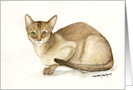 abyssinian cat Pet sitter Thank you card