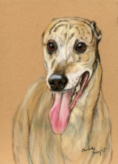 Greyhound Birthday