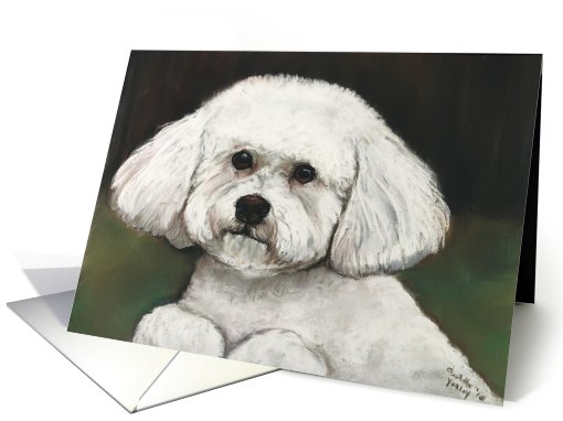 Birthday Bichon Frise card (607437)