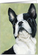 Birthday Boston Terrier card