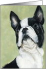 Friendship Boston Terrier card