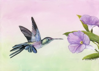 Hummingbird Birthday