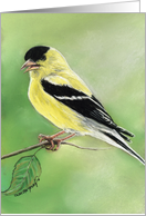 Goldfinch Birthday card