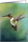 Hummingbird Birthday card