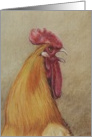 Happy Birthday Rooster card