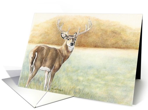 whitetail Deer card (725950)