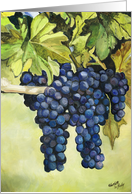 Grapes on the Vine card