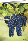 Grapes on the Vine card