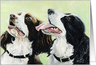 English Springer Spaniel Birthday card